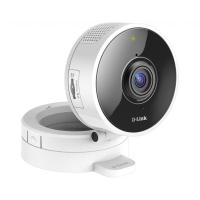 Камера видеонаблюдения D-Link DCS-8100LH